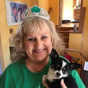 Meet your Posher, Robin